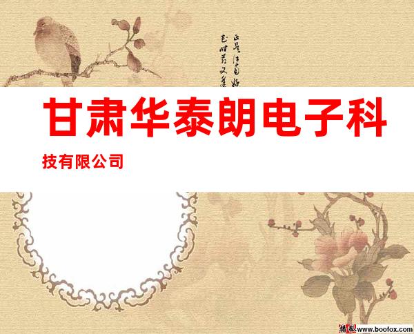 甘肃华泰朗电子科技有限公司